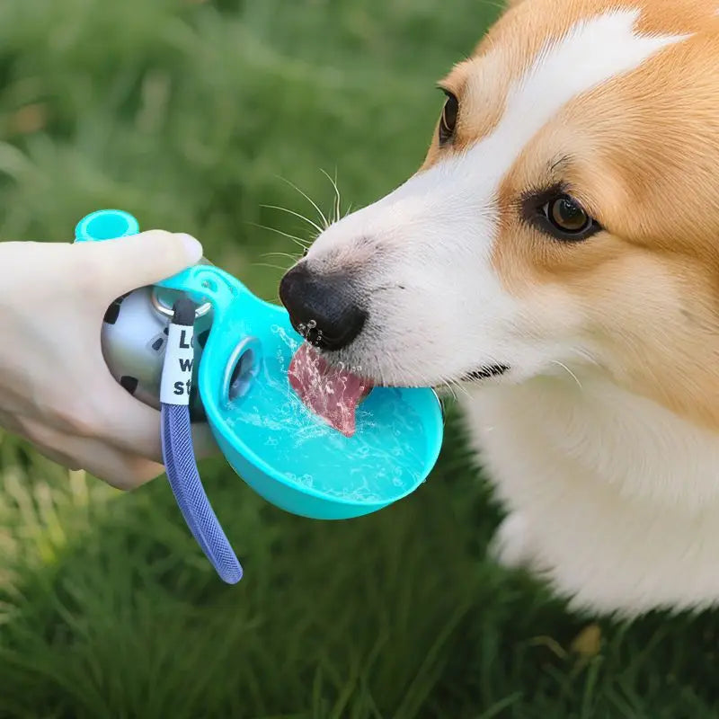 Portable Dog Walking Water bottle