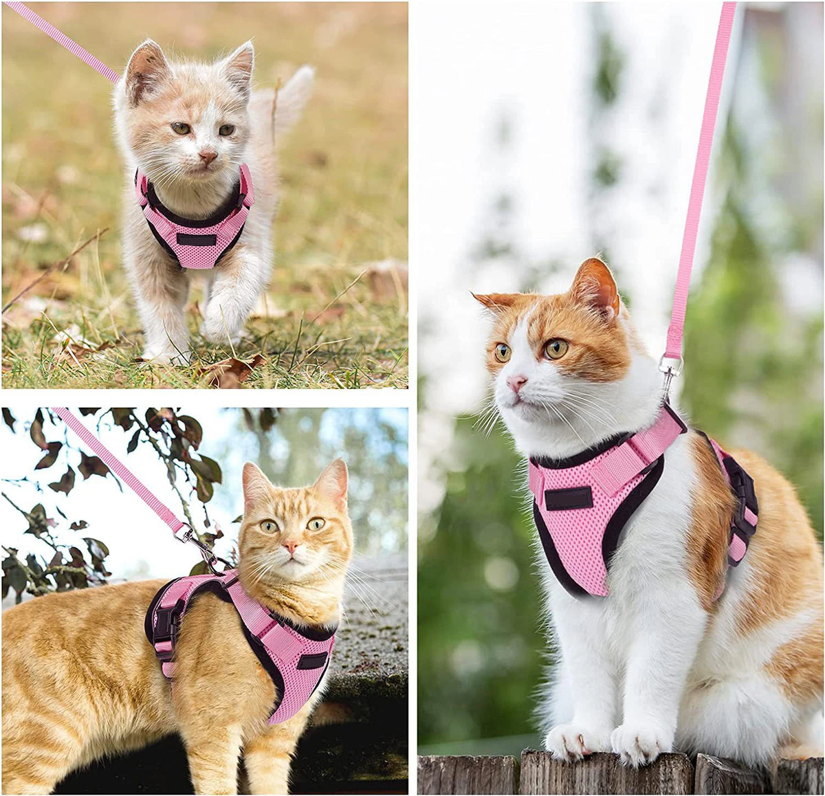 Cat harness, leash and collar set